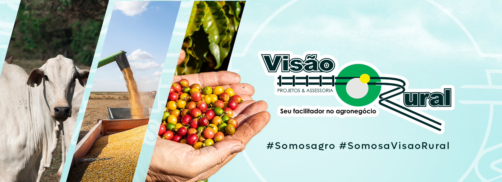 Primeiro Slide